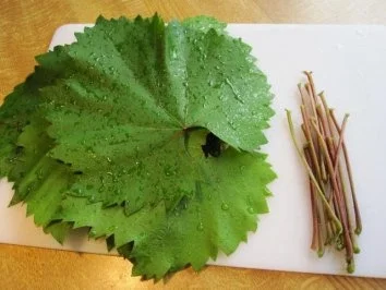 Gefüllte Weinblätter ... - Rezept - Bild Nr. 4