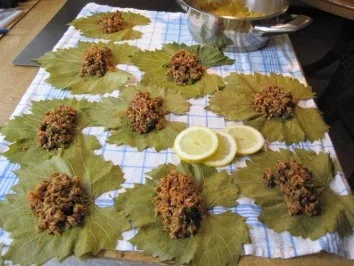 Gefüllte Weinblätter ... - Rezept - Bild Nr. 7
