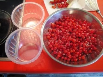 Rezept: Vanillepudding mit Johannisbeeren Bild Nr. 3 Vanillepudding mit Johannisbeeren - Rezept - Bild Nr. 3