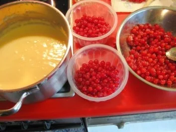 Rezept: Vanillepudding mit Johannisbeeren Bild Nr. 5 Vanillepudding mit Johannisbeeren - Rezept - Bild Nr. 5