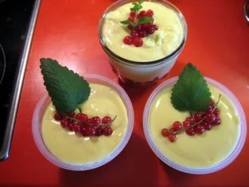Rezept: Vanillepudding mit Johannisbeeren Bild Nr. 8 Vanillepudding mit Johannisbeeren - Rezept - Bild Nr. 8