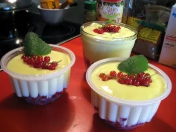 Rezept: Vanillepudding mit Johannisbeeren Bild Nr. 9 Vanillepudding mit Johannisbeeren - Rezept - Bild Nr. 9