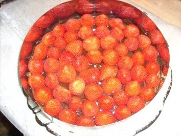 Joghurt-Kokos-Torte mit Erdbeeren - Rezept - Bild Nr. 6