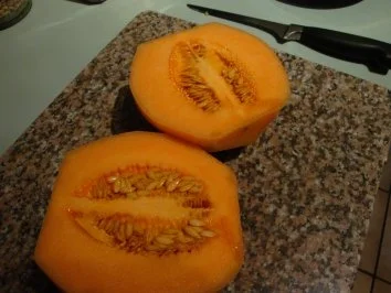 Rezept: Cantaloupemelone mit Serrano Schinken Bild Nr. 4 Cantaloupemelone mit Serrano Schinken - Rezept - Bild Nr. 4