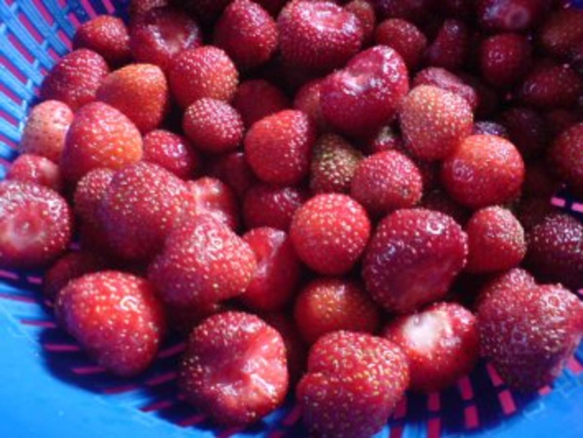 Erdbeer-Joghurt-Torte - Rezept - Bild Nr. 6