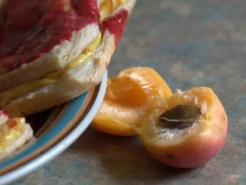 Vanille-Aprikosen Schnitte - Rezept - Bild Nr. 5