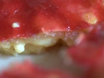 Vanille-Aprikosen Schnitte - Rezept - Bild Nr. 6