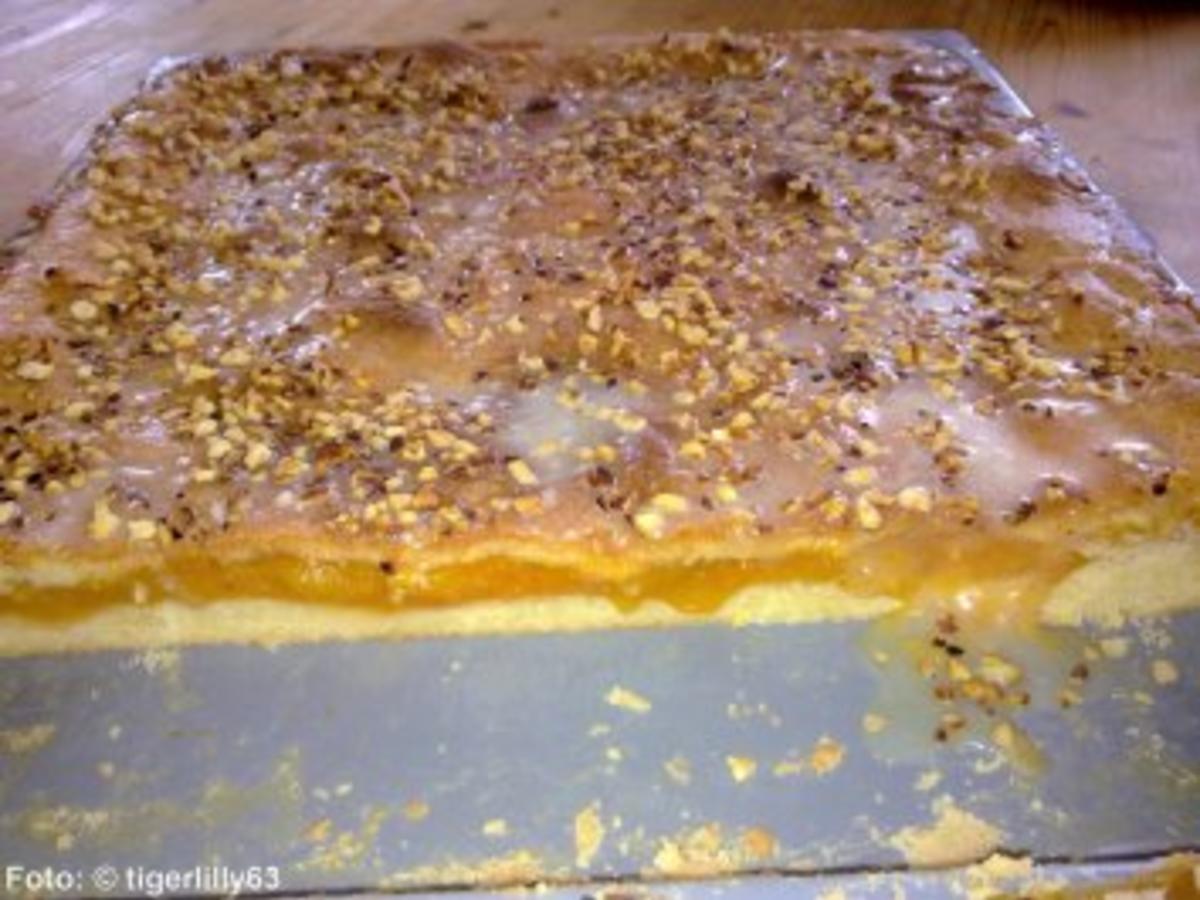 Gedeckter Aprikosenkuchen - Rezept mit Bild - kochbar.de