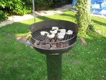 Garnelen mit Zitrus-Salsa - Rezept - Bild Nr. 2