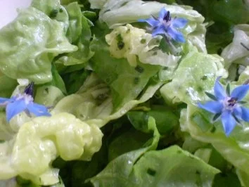 Kopfsalat mit Borretsch - Rezept - Bild Nr. 10