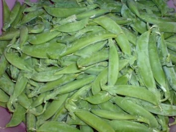 Rezept: Schweinefilet zu Champignon-Gulasch mit Zuckerschoten Bild Nr. 3 Schweinefilet zu Champignon-Gulasch mit Zuckerschoten - Rezept - Bild Nr. 3