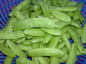 Rezept: Schweinefilet zu Champignon-Gulasch mit Zuckerschoten Bild Nr. 4 Schweinefilet zu Champignon-Gulasch mit Zuckerschoten - Rezept - Bild Nr. 4