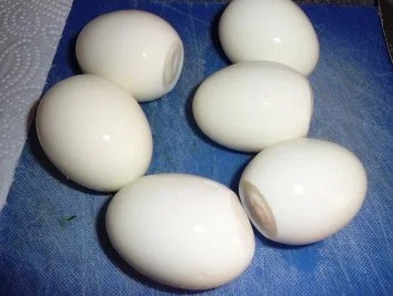 Rezept: Kartoffelsalat mit Gurke und Ei Bild Nr. 9 Kartoffelsalat mit Gurke und Ei - Rezept - Bild Nr. 9