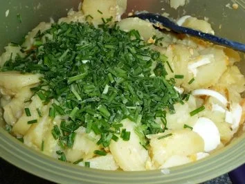 Rezept: Kartoffelsalat mit Gurke und Ei Bild Nr. 15 Kartoffelsalat mit Gurke und Ei - Rezept - Bild Nr. 15