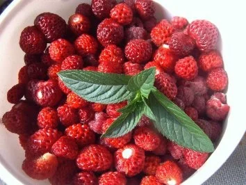 Himbeerlikör - Rezept - Bild Nr. 5