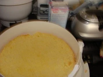 Erdbeer-Frischkäse-Torte - Rezept - Bild Nr. 5