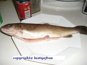 Forelle   a la Lusi ( Biggi ) - Rezept - Bild Nr. 2
