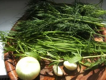 Quark mit vielen frischen Kräutern - Rezept - Bild Nr. 2