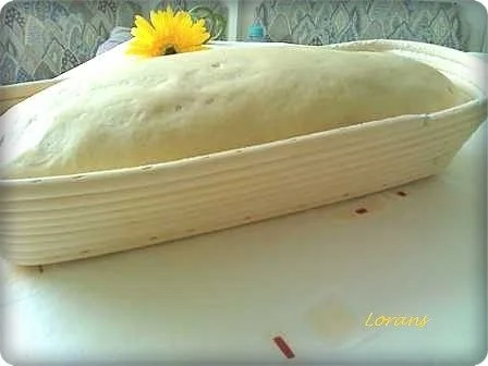 Rezept: Brot - Dinkelbrot Bild Nr. 19 Brot - Dinkelbrot - Rezept - Bild Nr. 19