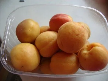 Marillenknödeln aus Topfenteig - Rezept - Bild Nr. 3