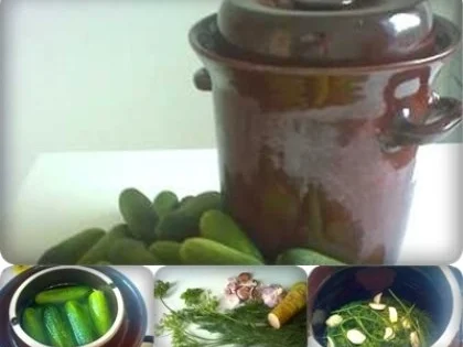 Rezept: Eingemachtes: Salz - Dill - Gurken Bild Nr. 2 Eingemachtes: Salz - Dill - Gurken - Rezept - Bild Nr. 2