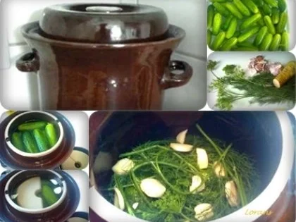 Rezept: Eingemachtes: Salz - Dill - Gurken Bild Nr. 11 Eingemachtes: Salz - Dill - Gurken - Rezept - Bild Nr. 11