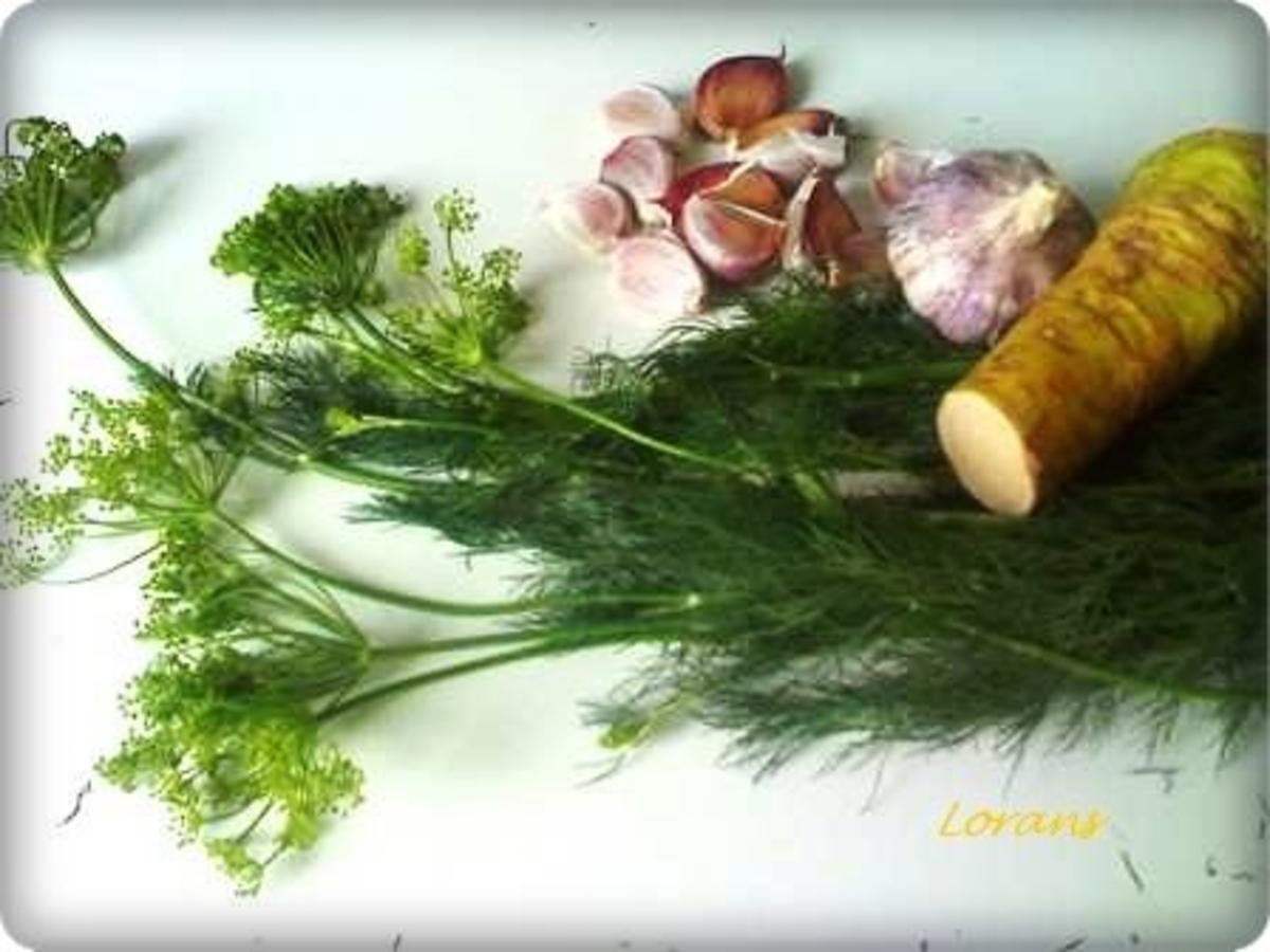 Eingemachtes:  Salz - Dill - Gurken - Rezept - Bild Nr. 6