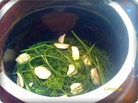 Rezept: Eingemachtes: Salz - Dill - Gurken Bild Nr. 7 Eingemachtes: Salz - Dill - Gurken - Rezept - Bild Nr. 7