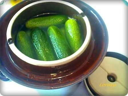 Rezept: Eingemachtes: Salz - Dill - Gurken Bild Nr. 8 Eingemachtes: Salz - Dill - Gurken - Rezept - Bild Nr. 8