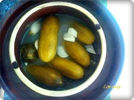 Rezept: Eingemachtes: Salz - Dill - Gurken Bild Nr. 12 Eingemachtes: Salz - Dill - Gurken - Rezept - Bild Nr. 12