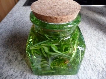 Öle - Rosmarien-Öl - Rezept