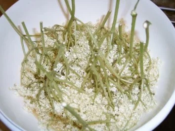 Holunderblütengelee mit Apfelsaft - Rezept - Bild Nr. 2