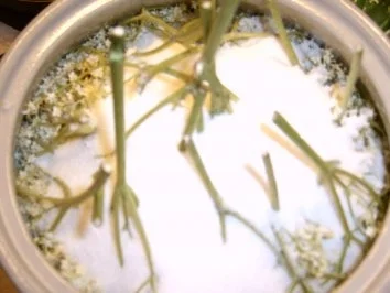 Holunderblütensirup - Rezept - Bild Nr. 4