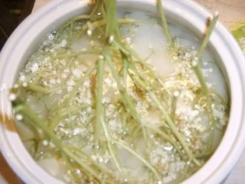 Holunderblütensirup - Rezept - Bild Nr. 5