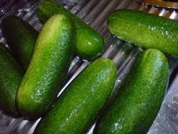 Gurkensalat - Rezept - Bild Nr. 3