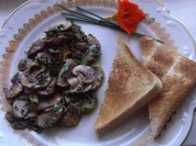 Kräuterchampignons - Rezept