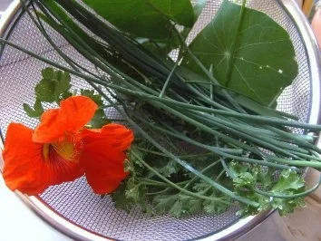 Kräuterchampignons - Rezept - Bild Nr. 2