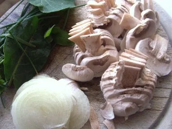 Kräuterchampignons - Rezept - Bild Nr. 3