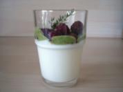 Joghurt-Thymian-Pannacotta mit Himbeeren an Kräuterhonig - Rezept