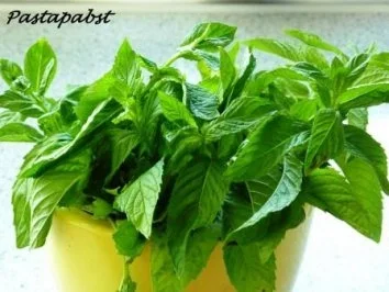 Orange-Minze-Sirup - Rezept - Bild Nr. 3