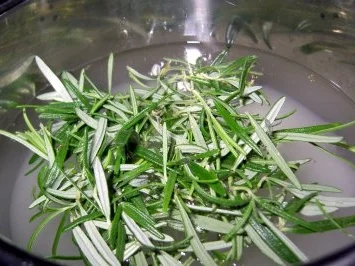 Rosmarin-Sirup - Rezept - Bild Nr. 2