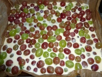 Rezept: Kuchen: Streuselkuchen mit Stachelbeeren Bild Nr. 4 Kuchen: Streuselkuchen mit Stachelbeeren - Rezept - Bild Nr. 4