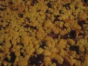 Beschwipster Pflaumen-Pudding-Streusel - Rezept