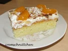 Mandarinen - Blechkuchen - Rezept
