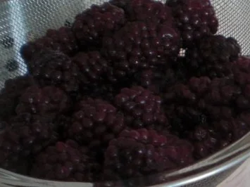 Rezept: Brombeeren in Rosmarin-Portweinreduktion an Vanille-Schmand-Parfait Bild Nr. 3 Brombeeren in Rosmarin-Portweinreduktion an Vanille-Schmand-Parfait - Rezept - Bild Nr. 3