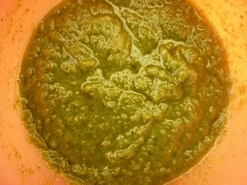 Basilikum-Nusspesto "Zitronenfrisch" - Rezept - Bild Nr. 2