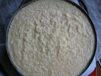 Rezept: Schoko - Kokoskuchen Bild Nr. 4 Schoko - Kokoskuchen - Rezept - Bild Nr. 4