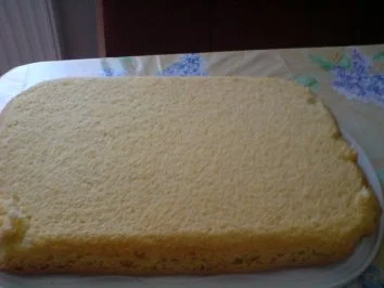 Erdbeer-Quark-Schnitten - Rezept - Bild Nr. 4