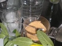 Rezept: Sommerdrink "Frischekick" Bild Nr. 2 Sommerdrink "Frischekick" - Rezept - Bild Nr. 2