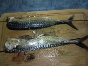 Rezept: Makrele (mal anders) am Spiess nach Müllerinart und Salat Bild Nr. 2 Makrele (mal anders) am Spiess nach Müllerinart und Salat - Rezept - Bild Nr. 2